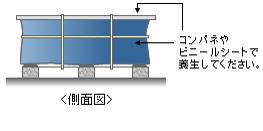 養生