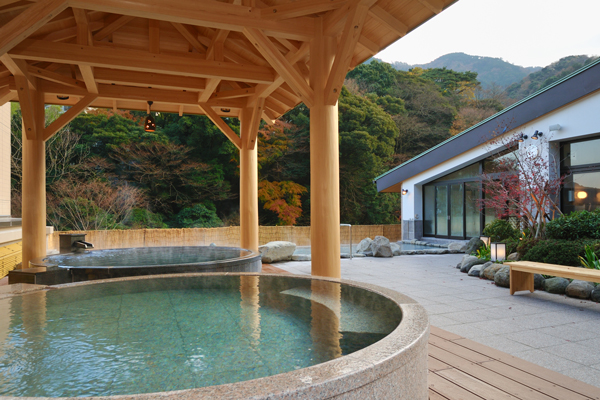 神奈川県足柄下郡箱根町 箱根湯本温泉 天成園 -2009年6月